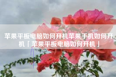 苹果平板电脑如何开机苹果手机如何开机「苹果平板电脑如何开机」