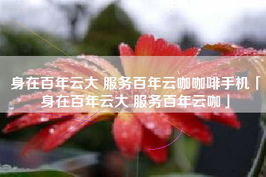 身在百年云大 服务百年云咖咖啡手机「身在百年云大 服务百年云咖」