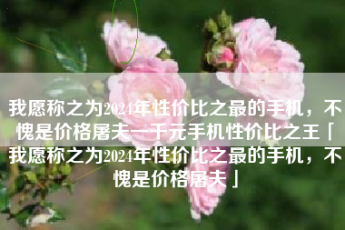 我愿称之为2024年性价比之最的手机，不愧是价格屠夫一千元手机性价比之王「我愿称之为2024年性价比之最的手机，不愧是价格屠夫」