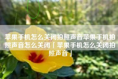 苹果手机怎么关闭拍照声音苹果手机拍照声音怎么关闭「苹果手机怎么关闭拍照声音」