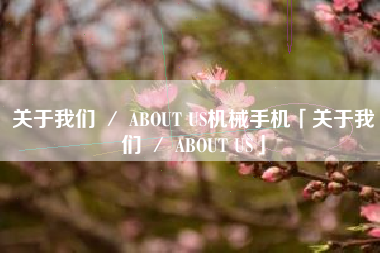 关于我们 ／ ABOUT US机械手机「关于我们 ／ ABOUT US」