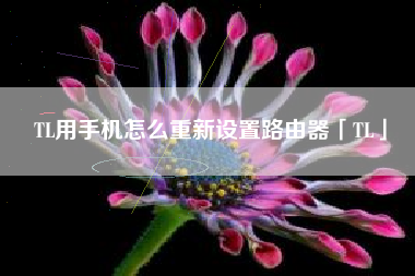 TL用手机怎么重新设置路由器「TL」 TL用手机怎么重新设置路由器「TL」