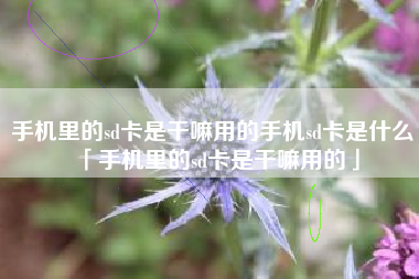 手机里的sd卡是干嘛用的手机sd卡是什么「手机里的sd卡是干嘛用的」