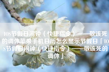IOS节假日闹钟（快捷指令）——敬该死的调休苹果手机日历怎么显示节假日「IOS节假日闹钟（快捷指令）——敬该死的调休」
