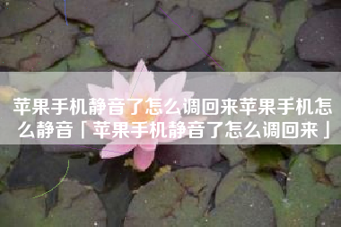 苹果手机静音了怎么调回来苹果手机怎么静音「苹果手机静音了怎么调回来」