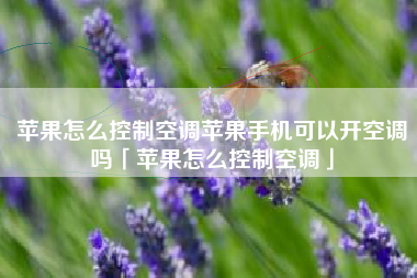 苹果怎么控制空调苹果手机可以开空调吗「苹果怎么控制空调」