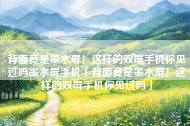背面竟是墨水屏！这样的双屏手机你见过吗墨水屏手机「背面竟是墨水屏！这样的双屏手机你见过吗」