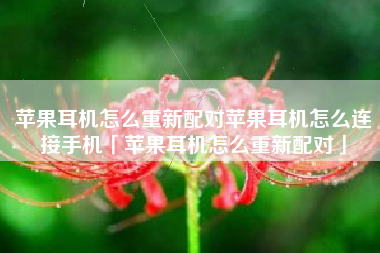 苹果耳机怎么重新配对苹果耳机怎么连接手机「苹果耳机怎么重新配对」