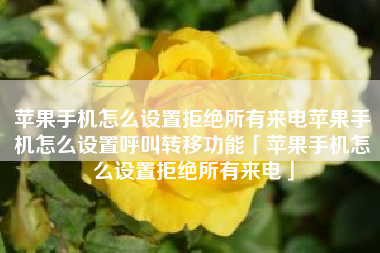 苹果手机怎么设置拒绝所有来电苹果手机怎么设置呼叫转移功能「苹果手机怎么设置拒绝所有来电」