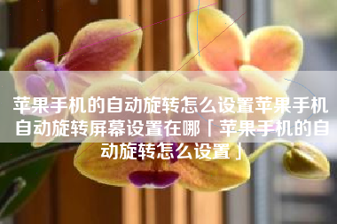 苹果手机的自动旋转怎么设置苹果手机自动旋转屏幕设置在哪「苹果手机的自动旋转怎么设置」