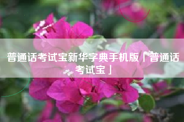 普通话考试宝新华字典手机版「普通话考试宝」