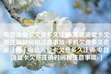 电信流量卡欠费多久注销(电信流量卡欠费注销时间和注意事项)手机欠费多久会被注销「电信流量卡欠费多久注销(电信流量卡欠费注销时间和注意事项)」