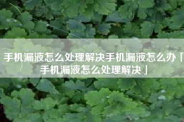 手机漏液怎么处理解决手机漏液怎么办「手机漏液怎么处理解决」
