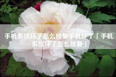 手机系统坏了怎么修复手机坏了「手机系统坏了怎么修复」