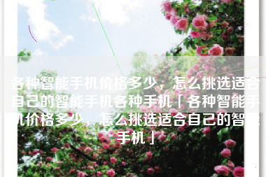 各种智能手机价格多少，怎么挑选适合自己的智能手机各种手机「各种智能手机价格多少，怎么挑选适合自己的智能手机」