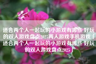适合两个人一起玩的小游戏有哪些 好玩的双人游戏盘点2025两人游戏手机游戏「适合两个人一起玩的小游戏有哪些 好玩的双人游戏盘点2025」