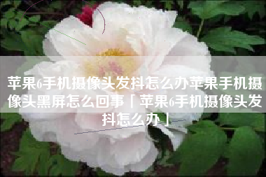 苹果6手机摄像头发抖怎么办苹果手机摄像头黑屏怎么回事「苹果6手机摄像头发抖怎么办」