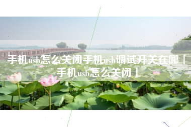 手机usb怎么关闭手机usb调试开关在哪「手机usb怎么关闭」