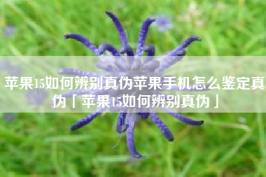 苹果15如何辨别真伪苹果手机怎么鉴定真伪「苹果15如何辨别真伪」