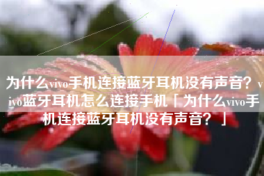 为什么vivo手机连接蓝牙耳机没有声音？vivo蓝牙耳机怎么连接手机「为什么vivo手机连接蓝牙耳机没有声音？」