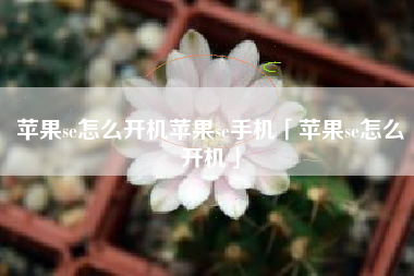 苹果se怎么开机苹果se手机「苹果se怎么开机」