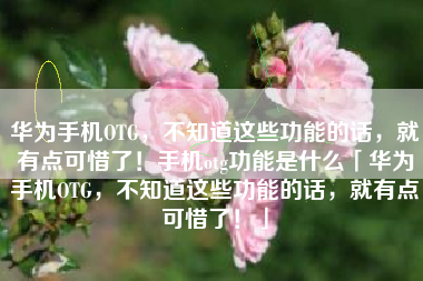 华为手机OTG，不知道这些功能的话，就有点可惜了！手机otg功能是什么「华为手机OTG，不知道这些功能的话，就有点可惜了！」