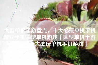 大型单机手游盘点，十大必玩单机手机游戏手机大型单机游戏「大型单机手游盘点，十大必玩单机手机游戏」
