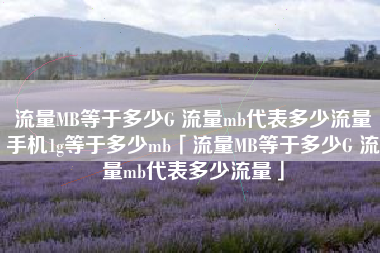 流量MB等于多少G 流量mb代表多少流量手机1g等于多少mb「流量MB等于多少G 流量mb代表多少流量」