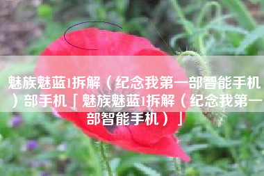 魅族魅蓝1拆解（纪念我第一部智能手机）部手机「魅族魅蓝1拆解（纪念我第一部智能手机）」