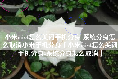 小米mix4怎么关闭手机分身-系统分身怎么取消小米手机分身「小米mix4怎么关闭手机分身-系统分身怎么取消」