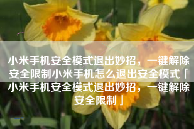 小米手机安全模式退出妙招，一键解除安全限制小米手机怎么退出安全模式「小米手机安全模式退出妙招，一键解除安全限制」