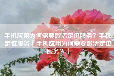 手机应用为何需要激活定位服务？手机定位服务「手机应用为何需要激活定位服务？」