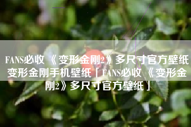 FANS必收 《变形金刚2》多尺寸官方壁纸变形金刚手机壁纸「FANS必收 《变形金刚2》多尺寸官方壁纸」