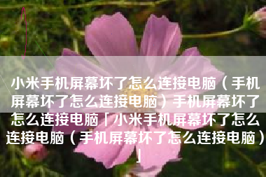 小米手机屏幕坏了怎么连接电脑（手机屏幕坏了怎么连接电脑）手机屏幕坏了怎么连接电脑「小米手机屏幕坏了怎么连接电脑（手机屏幕坏了怎么连接电脑）」