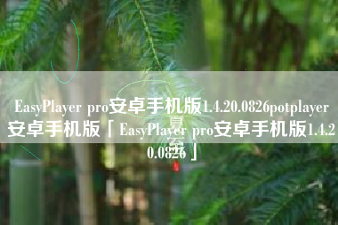 EasyPlayer pro安卓手机版1.4.20.0826potplayer安卓手机版「EasyPlayer pro安卓手机版1.4.20.0826」