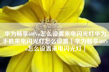 华为畅享60Pro怎么设置来电闪光灯华为手机来电闪光灯怎么设置「华为畅享60Pro怎么设置来电闪光灯」
