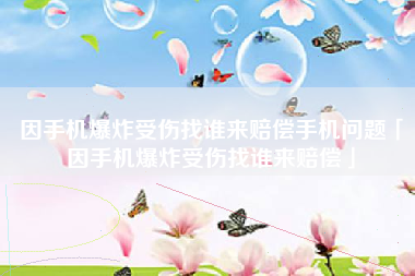 因手机爆炸受伤找谁来赔偿手机问题「因手机爆炸受伤找谁来赔偿」