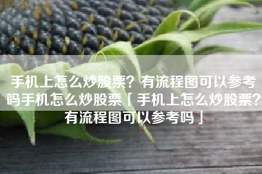手机上怎么炒股票？有流程图可以参考吗手机怎么炒股票「手机上怎么炒股票？有流程图可以参考吗」