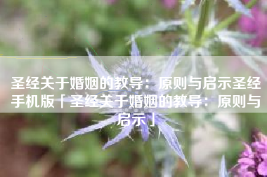 圣经关于婚姻的教导：原则与启示圣经手机版「圣经关于婚姻的教导：原则与启示」