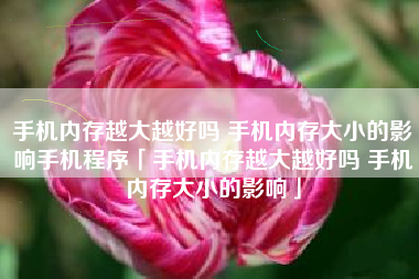 手机内存越大越好吗 手机内存大小的影响手机程序「手机内存越大越好吗 手机内存大小的影响」