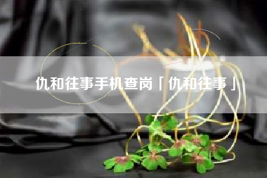 仇和往事手机查岗「仇和往事」 仇和往事手机查岗「仇和往事」