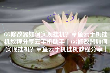 GG修改器如何实现挂机？章鱼云手机挂机教程分享云手机助手「GG修改器如何实现挂机？章鱼云手机挂机教程分享」