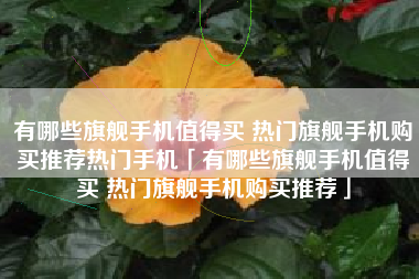 有哪些旗舰手机值得买 热门旗舰手机购买推荐热门手机「有哪些旗舰手机值得买 热门旗舰手机购买推荐」