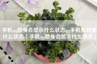 手机qq隐身会显示什么状态qq手机在线是什么状态「手机qq隐身会显示什么状态」