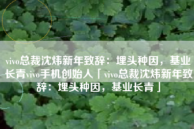 vivo总裁沈炜新年致辞：埋头种因，基业长青vivo手机创始人「vivo总裁沈炜新年致辞：埋头种因，基业长青」