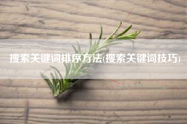搜索关键词排序方法(搜索关键词技巧)
