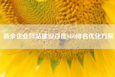 新余企业网站建设百度SEO排名优化方案