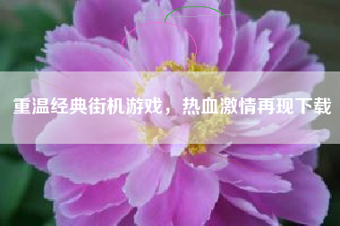 重温经典街机游戏，热血激情再现下载