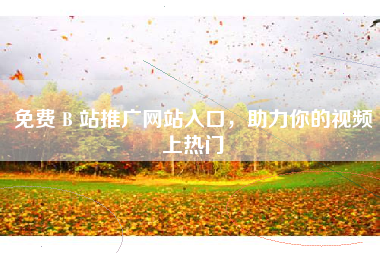 免费 B 站推广网站入口，助力你的视频上热门
