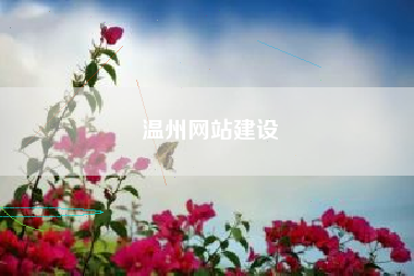 温州网站建设